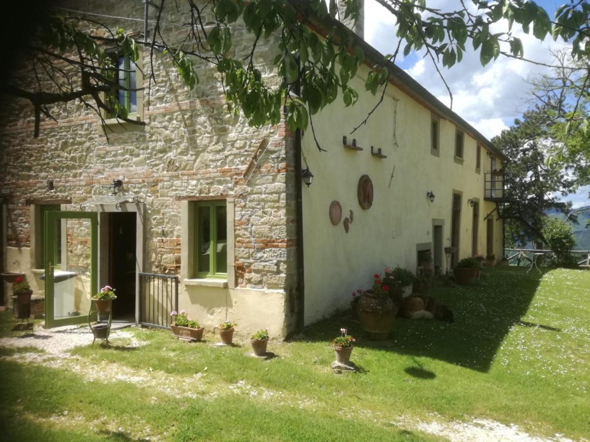 Podere Casone Sant'Adriano Zewnętrze zdjęcie